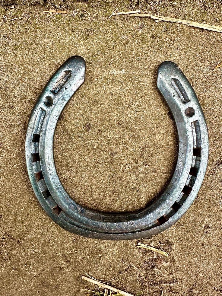 Horse Shoes